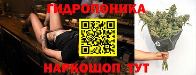 твердый Берёзовский