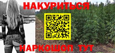 гашик Гусь-Хрустальный