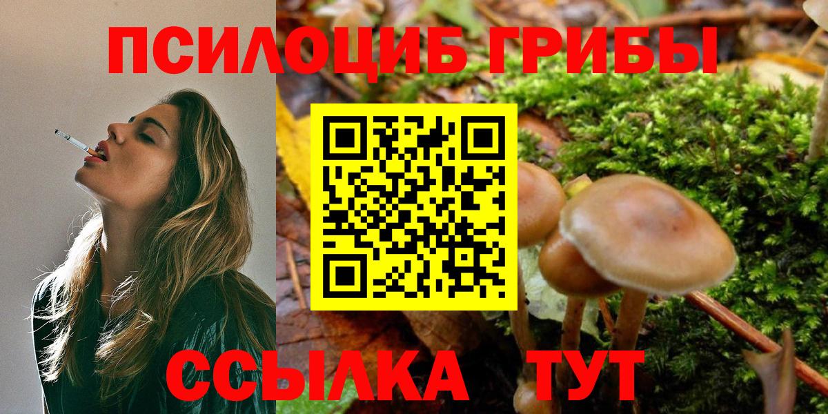Камень-на-Оби  Галлюциногенные грибы Psilocybe  Вход с VPN  Псилоцибиновые грибы MAGIC MUSHROOMS 
