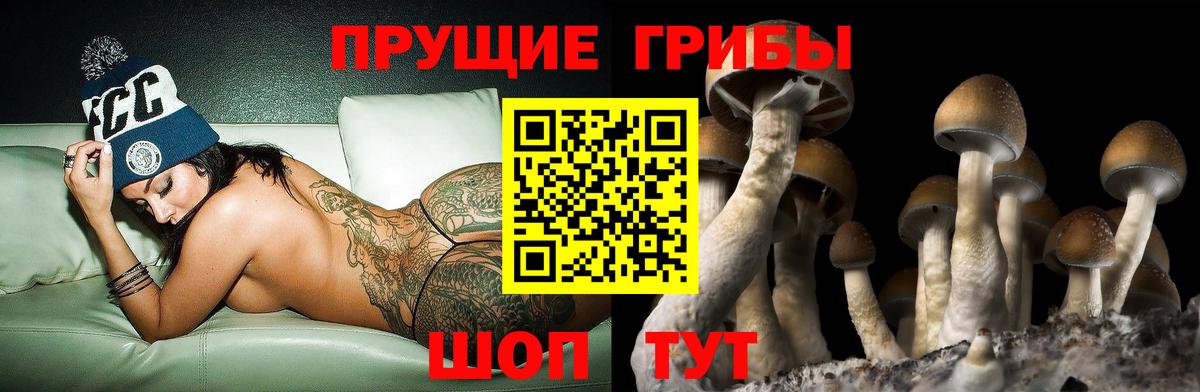 Амфетамин Камень-на-Оби