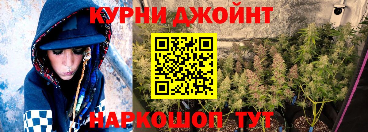 Каннабис планчик Камень-на-Оби